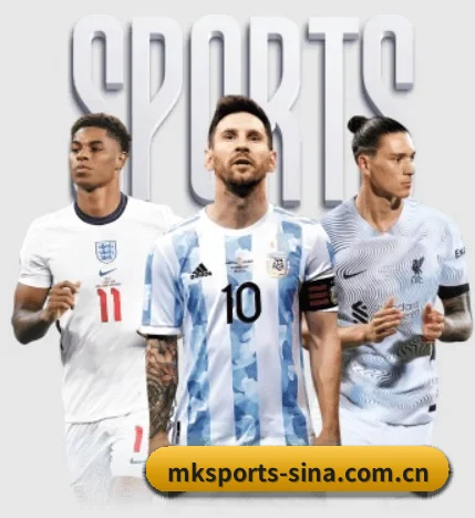MK体育 APP | MK SPORTS